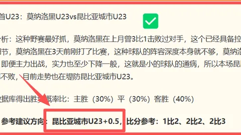 曼联独家分析：桑托斯新星蒂莱曼斯，曼联成熟战力的关键引援
